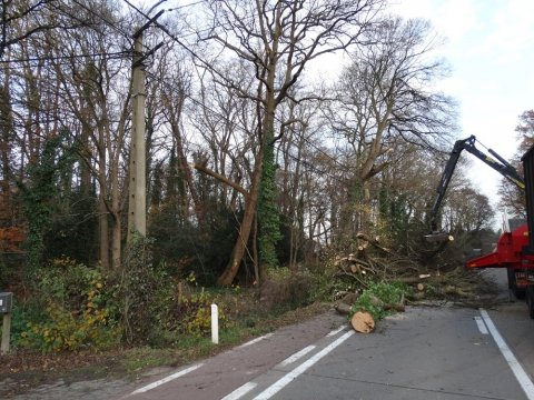 Park van Hof ter Borght krijgt nieuw elan 