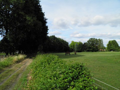 Kempens Landschap neemt gronden Umicore te Olen in erfpacht