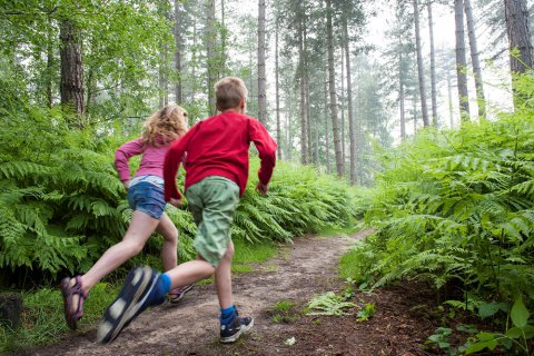 Familie-avontuur met de wandelapp Vossenstreken