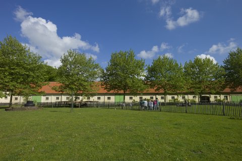 Jonge ontwerpers gaan aan de slag in boerderij Wortel-Kolonie