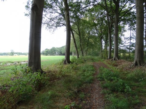 Kempens Landschap koopt 20 ha bos en open ruimte nabij kasteel van Noorderwijk 