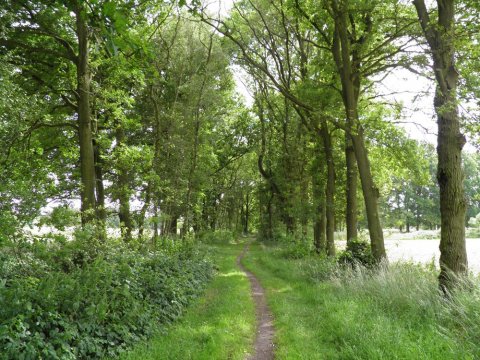 Groene long in Olen wordt opgewaardeerd