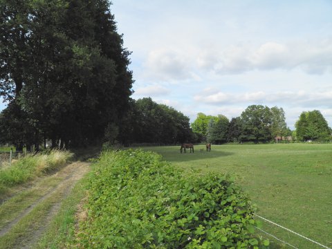 Groene long in Olen wordt opgewaardeerd