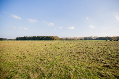 Kempens Landschap koopt open ruimte aan in Hove 