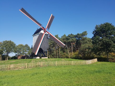 Breng in maart een bezoek aan de Beddermolen