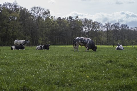 Welkom in De Merel! 