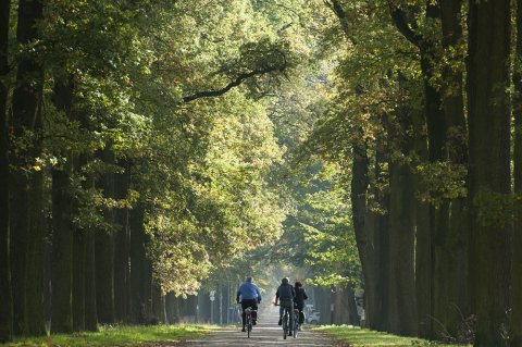 Nieuwe stap naar UNESCO-nominatie van Wortel- en Merksplas-Kolonie