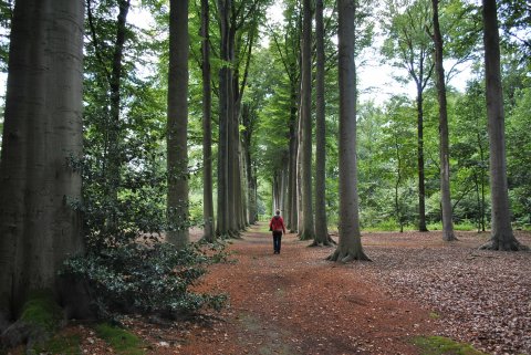 Trek (veilig) naar buiten!