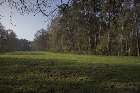 Beschermd stuk bos in Geel-Bel wordt publiek 