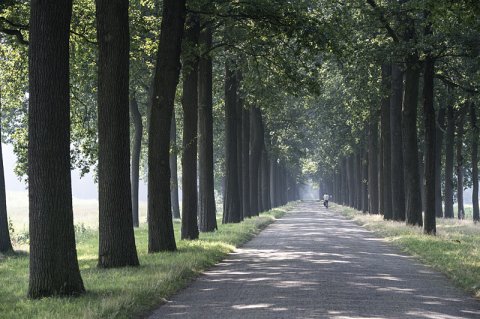 De Koloniën van Weldadigheid trekken hoopvol richting het UNESCO-Werelderfgoedcomité