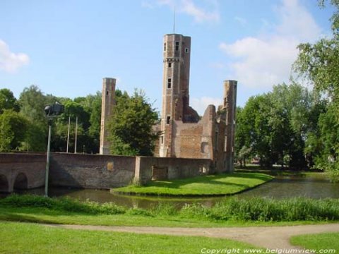 RealVisuals brengt Kasteelruïne Ter Elst in kaart