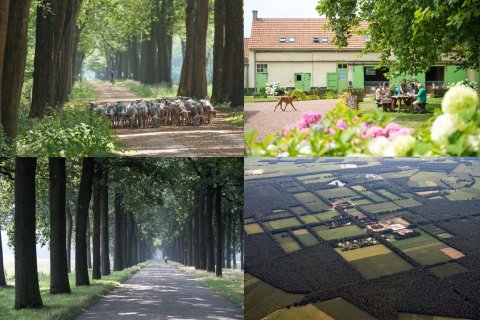 Wortel-Kolonie als eerste Belgisch cultureel landschap op de UNESCO-Werelderfgoedlijst