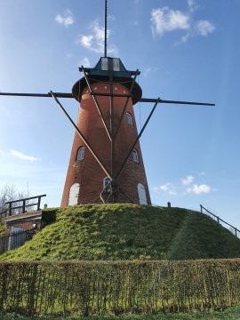 Erfgoedpremie voor De Stenen Molen van Oelegem