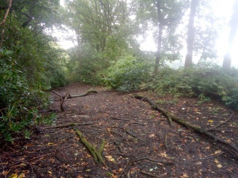 Opknapbeurt vijver park Zusters Franciscanessen 