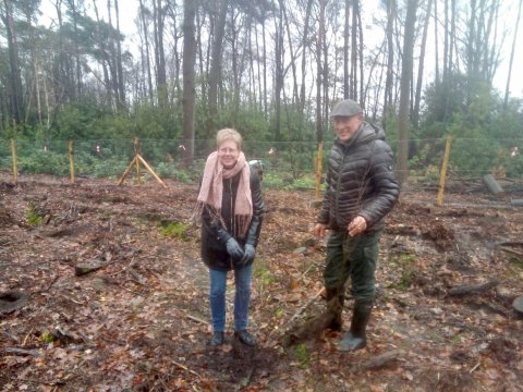 Aanplant van bomen en struiken in park Franciscanessen in Wuustwezel