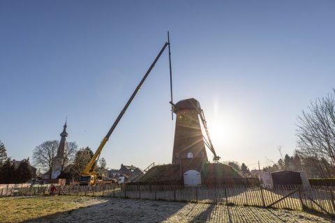 Roeden Oelegemse Stenen Molen weer op hun plaats