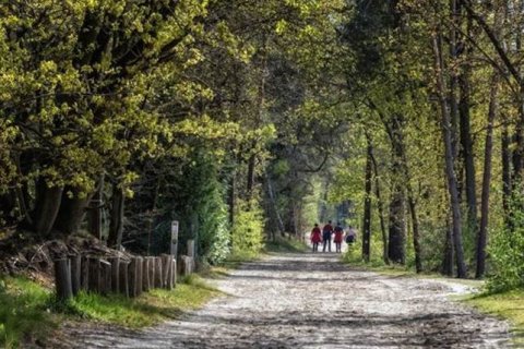 Kempens landschap koopt 3 nieuwe bospercelen Geel-Bel aan