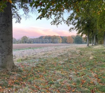 Domein Ter Speelbergen breidt uit: Kempens Landschap koopt aanpalend 8 hectare aan