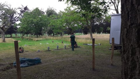 Schapen in boomgaard park Redemptoristen zorgen voor extra beleving