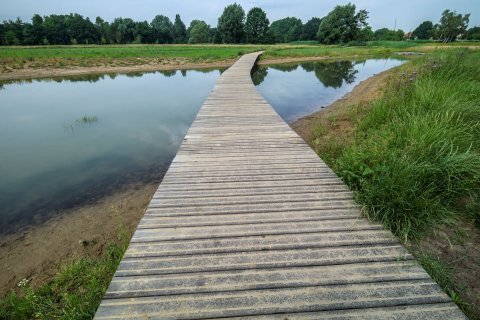 Hove roept inwoners op om mee 3800 bomen in landschapspark Frijthout aan te planten