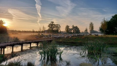 Prachtig stukje Borsbeek wint fotowedstrijd