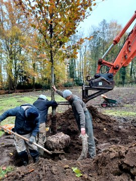 Rustoase in Hof Ter Laken krijgt vorm 