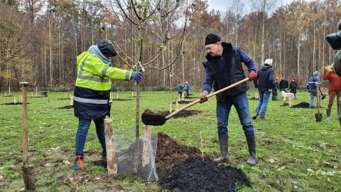 Historische boomgaard Hof Ter Laken komt opnieuw tot leven