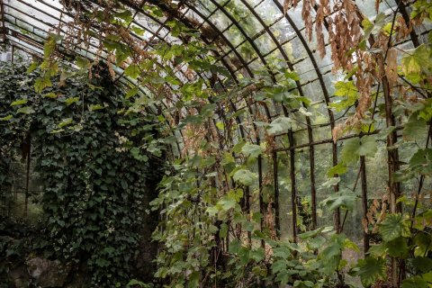 Serre en volière op kasteeldomein Hof Ter Laken schitteren als weleer