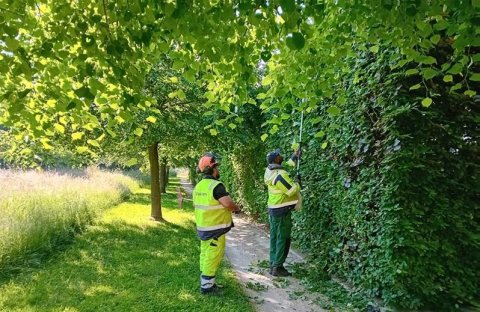 Provincie Antwerpen steunt Stichting Kempens Landschap met subsidie voor Landschapsdokters 