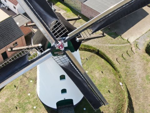 Lilse molen ’In Stormen Sterk’ breidt uit met bakhuis en authentieke oven. Broodnodige hulp gezocht: molenaars zoeken vrijwilligers 