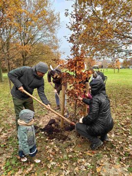 Geboortebos Borsbeek weer stukje groter dankzij kersverse ouders