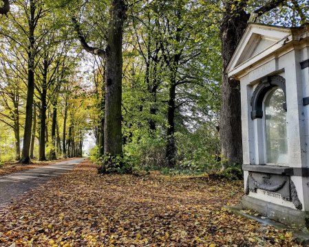 Opknapbeurt voor historische Dreef van Boechout