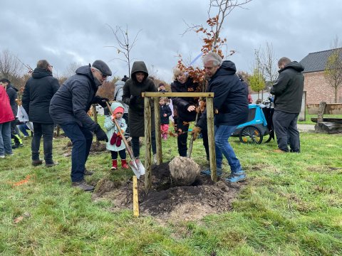 Stichting Kempens Landschap en district Borsbeek vieren nieuw leven met aanplant Geboortebos