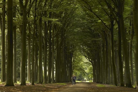 Stichting Kempens Landschap en gemeente Westerlo slaan handen in elkaar voor Beeltjens en Kwarekken
